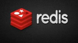 聊聊數(shù)據(jù)存儲系統(tǒng)Couchbase與Redis