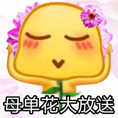 最新版很熱門的懟人聊天表情最新 實用的高級懟人聊天表情