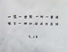 312植樹節發朋友圈的好聽說說 2022植樹節的好聽語錄大全