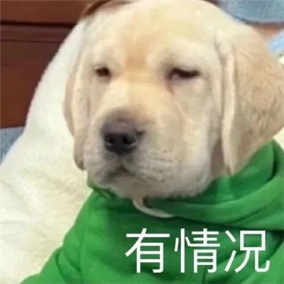 最新版群聊用的表情包大全 這個(gè)群讓我感到好迷茫