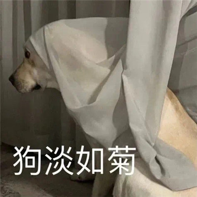 最新版群聊用的表情包大全 這個(gè)群讓我感到好迷茫