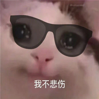 最新版群聊用的表情包大全 這個(gè)群讓我感到好迷茫