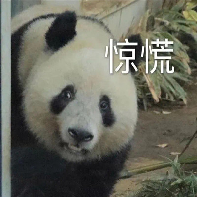 最新版群聊用的表情包大全 這個(gè)群讓我感到好迷茫