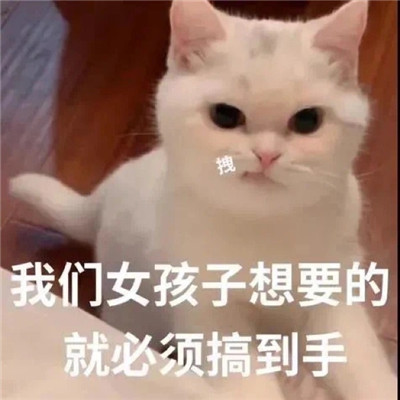 帶來超多歡樂的搞笑聊天表情 讓人爆笑的有趣表情合集
