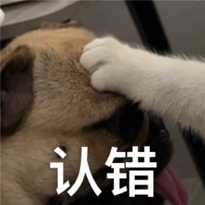 帶來超多歡樂的搞笑聊天表情 讓人爆笑的有趣表情合集