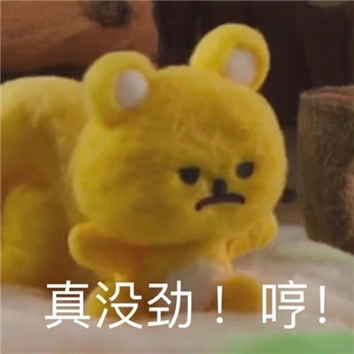 2022最熱門的搞怪表情 你為什么不找我玩