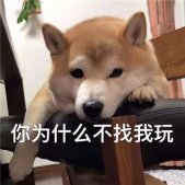 2022最熱門的搞怪表情 你為什么不找我玩