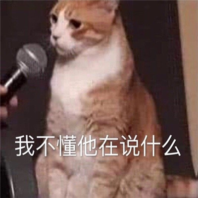2022最熱門的搞怪表情 你為什么不找我玩