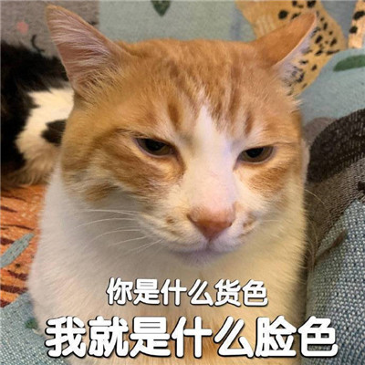 2022最熱門的搞怪表情 你為什么不找我玩