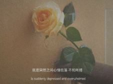 傷感又暗含深意的網名 帶有悲涼傷感詩意的網名