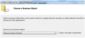 ASP.NET 數據源