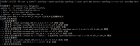 Linux（centos7.9）搭建ldap服務器