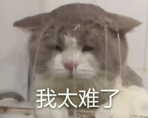 2模版_你還只會套PPT模版嗎？|大學生PPT進階指南（附免費資源amp;教程）