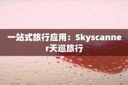 一站式旅行應用：Skyscanner天巡旅行