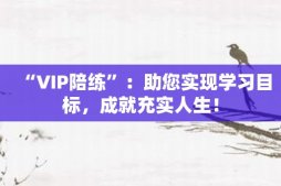 “VIP陪練”：助您實現學習目標，成就充實人生！